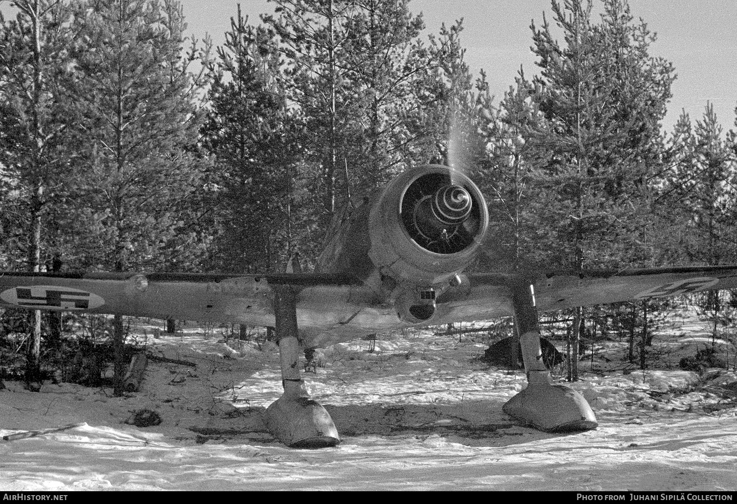 Aircraft Photo of FR-142 | Fokker D.XXI | Finland - Air Force | AirHistory.net #439088