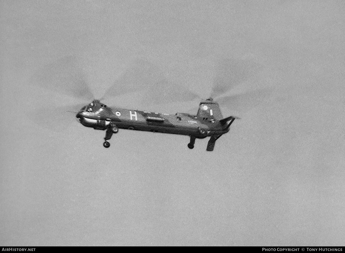 Aircraft Photo of XG462 | Bristol 192 Belvedere HC1 | UK - Air Force | AirHistory.net #441895