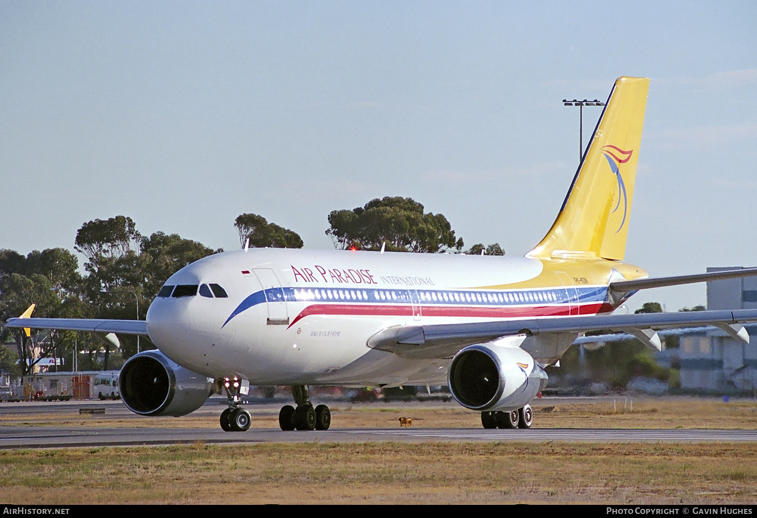 Aircraft Photo of PK-KDN | Airbus A310-324 | Air Paradise International | AirHistory.net #442499