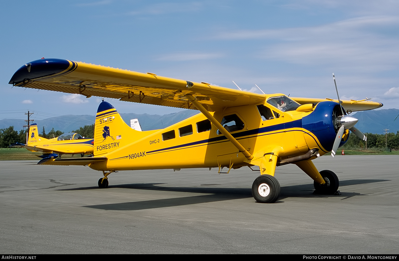 Aircraft Photo of N904AK | De Havilland Canada DHC-2 Beaver Mk1 | Alaska Department of Forestry | AirHistory.net #444115