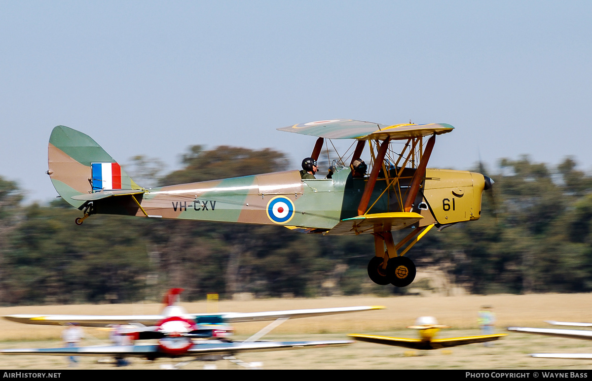 Aircraft Photo of VH-CXV | De Havilland D.H. 82A Tiger Moth | UK - Air Force | AirHistory.net #444907