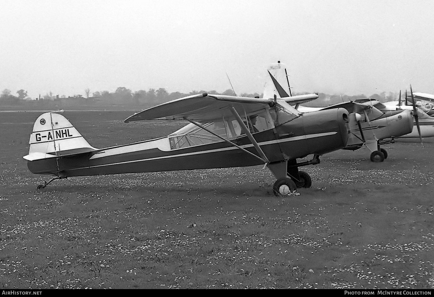 Aircraft Photo of G-ANHL | Taylorcraft G Auster Mk4 | AirHistory.net #445620