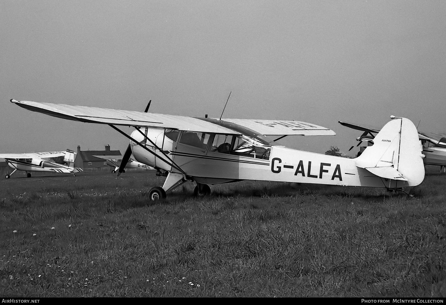Aircraft Photo of G-ALFA | Taylorcraft J Auster Mk5 | AirHistory.net #445637