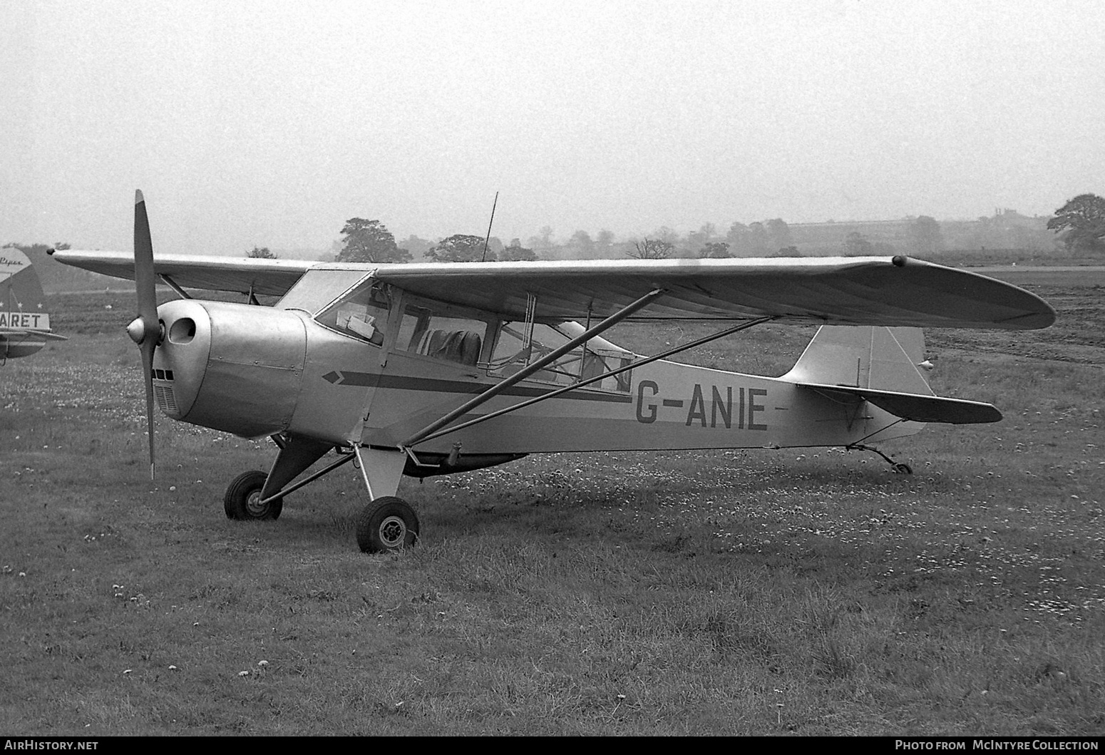 Aircraft Photo of G-ANIE | Taylorcraft J Auster Mk5/Alpha | AirHistory.net #445653