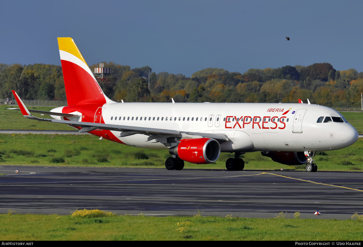 Aircraft Photo of EC-LVQ | Airbus A320-216 | Iberia Express | AirHistory.net #445691