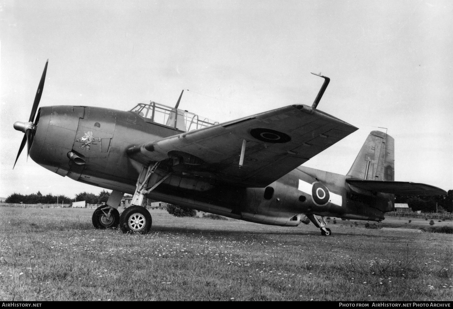 Aircraft Photo of NZ2509 | Grumman TBF-1C Avenger | New Zealand - Air Force | AirHistory.net #446073