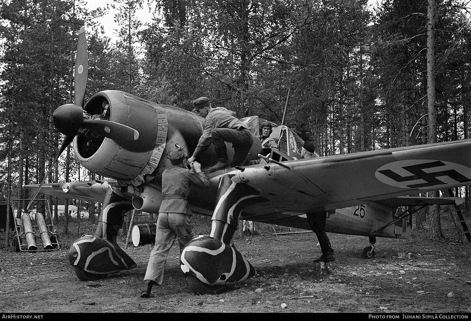 Aircraft Photo of FR-125 | Fokker D.XXI | Finland - Air Force | AirHistory.net #447391