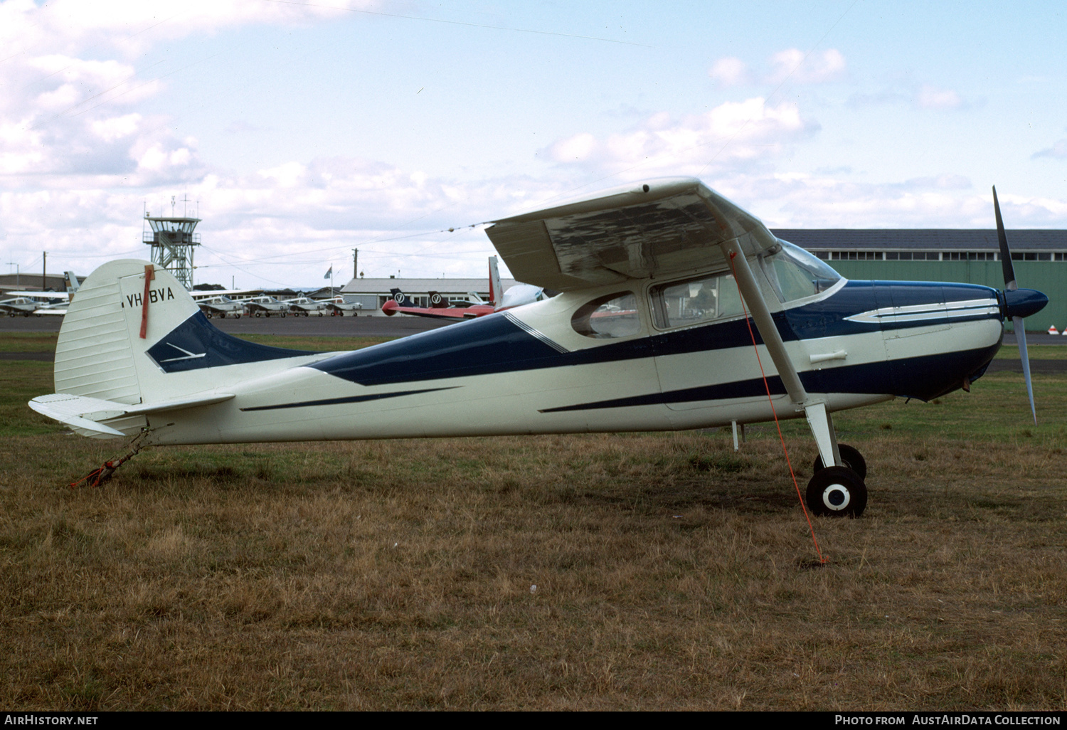Aircraft Photo of VH-BVA | Cessna 170B | AirHistory.net #448346