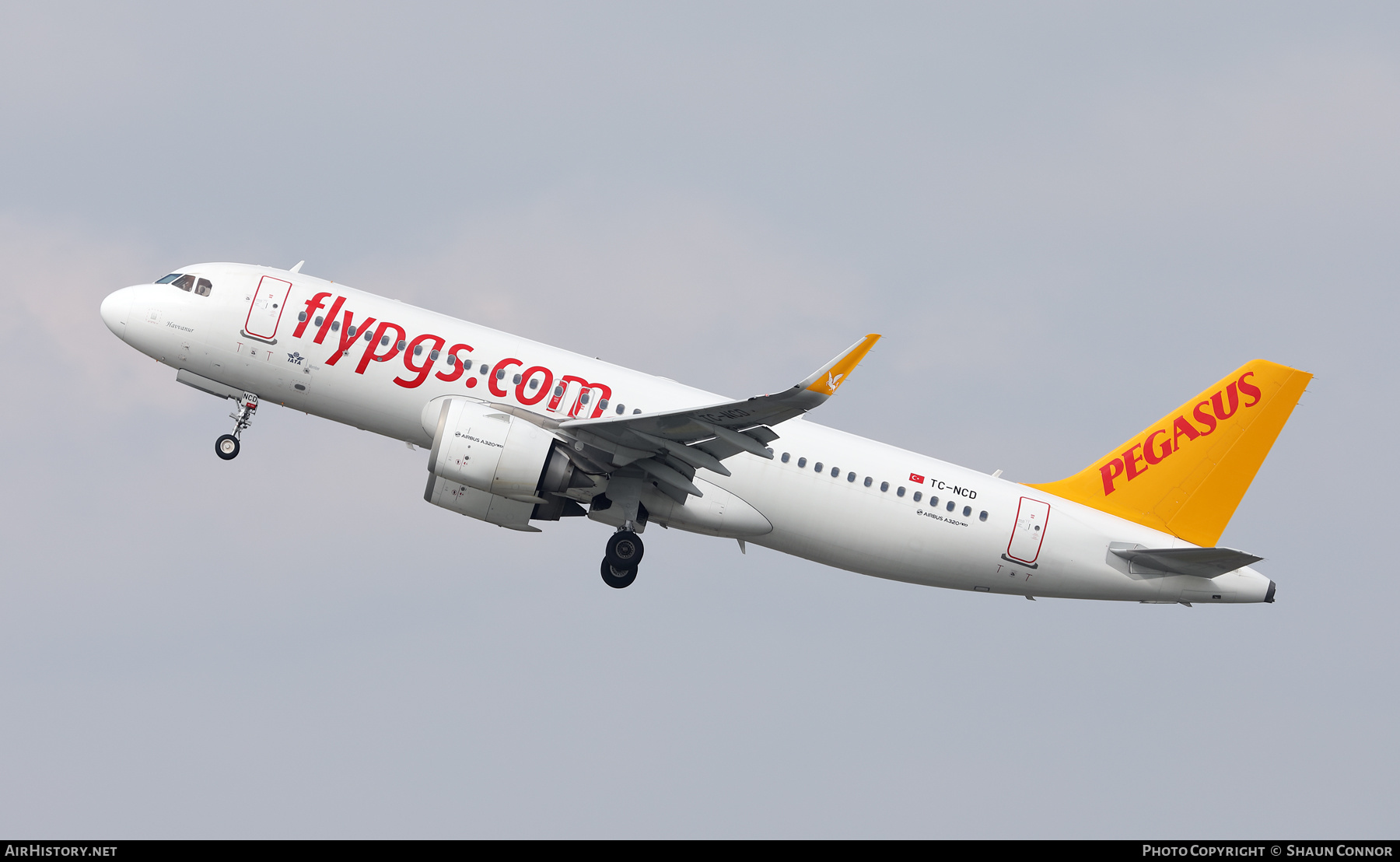 Aircraft Photo of TC-NCD | Airbus A320-251N | Pegasus Airlines | AirHistory.net #449407