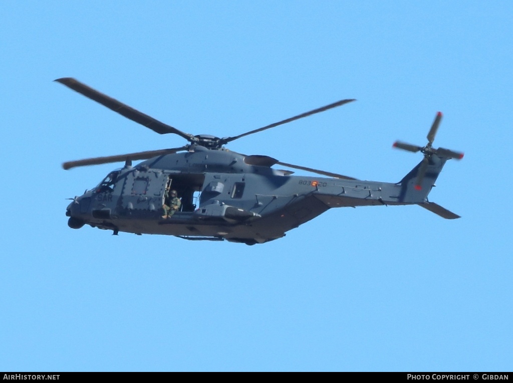 Aircraft Photo of HD.29-20 / 10263 | NHI NH90 TTH | Spain - Air Force | AirHistory.net #450115