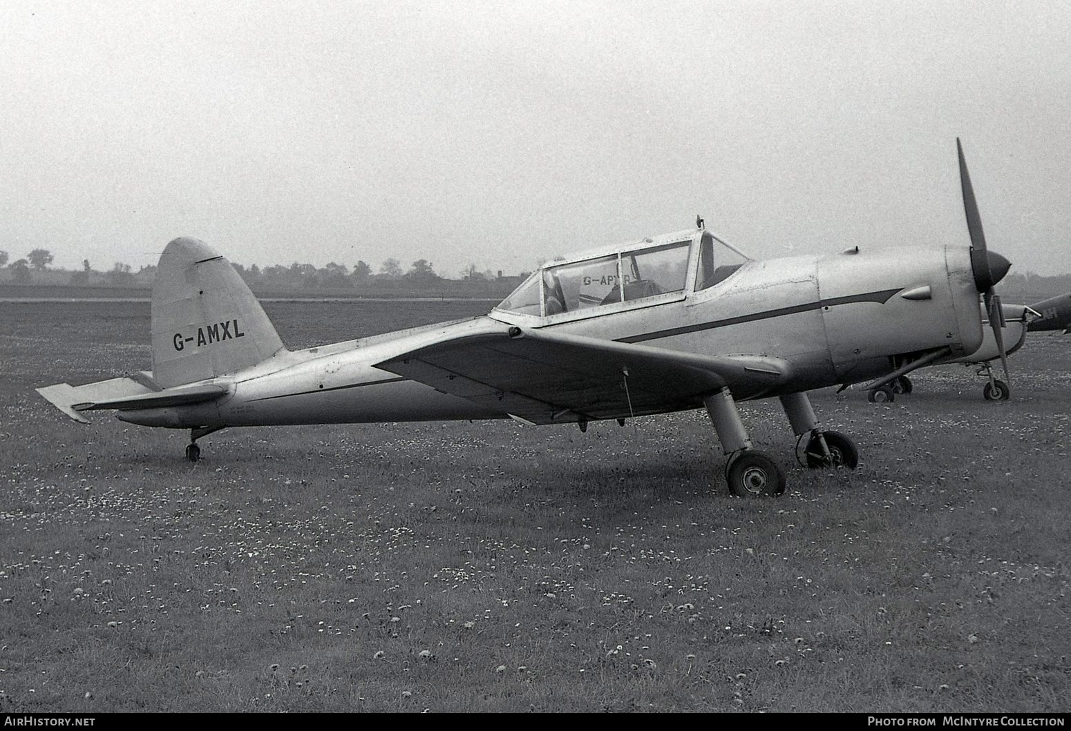 Aircraft Photo of G-AMXL | De Havilland DHC-1 Chipmunk 22 | AirHistory.net #451129