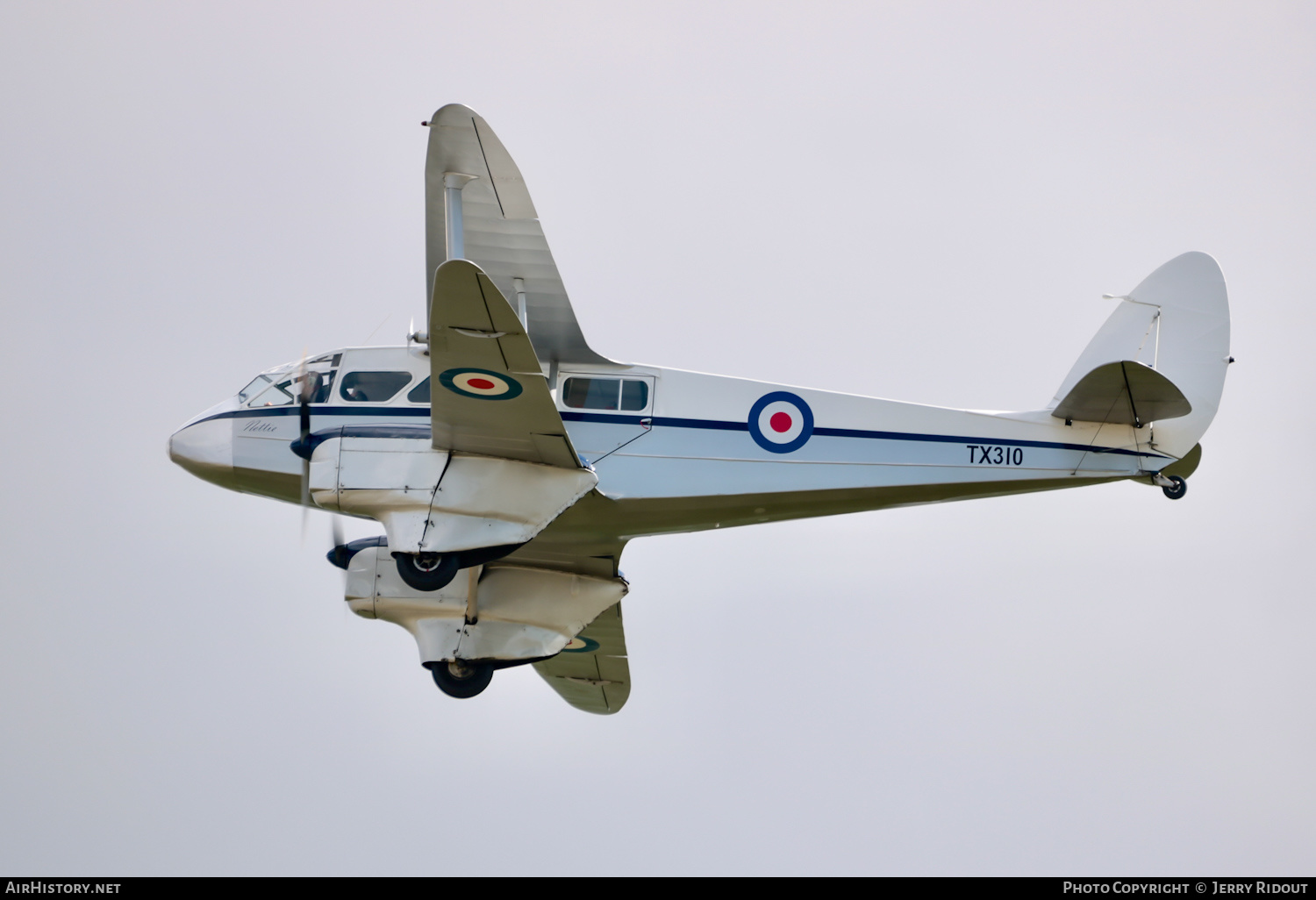 Aircraft Photo of G-AIDL / TX310 | De Havilland D.H. 89A Dragon Rapide | UK - Air Force | AirHistory.net #451190