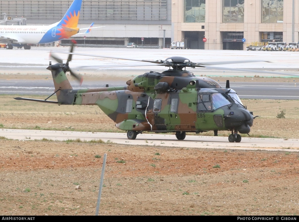 Aircraft Photo of 1443 | NHI NH90 TTH Caiman | France - Army | AirHistory.net #451720