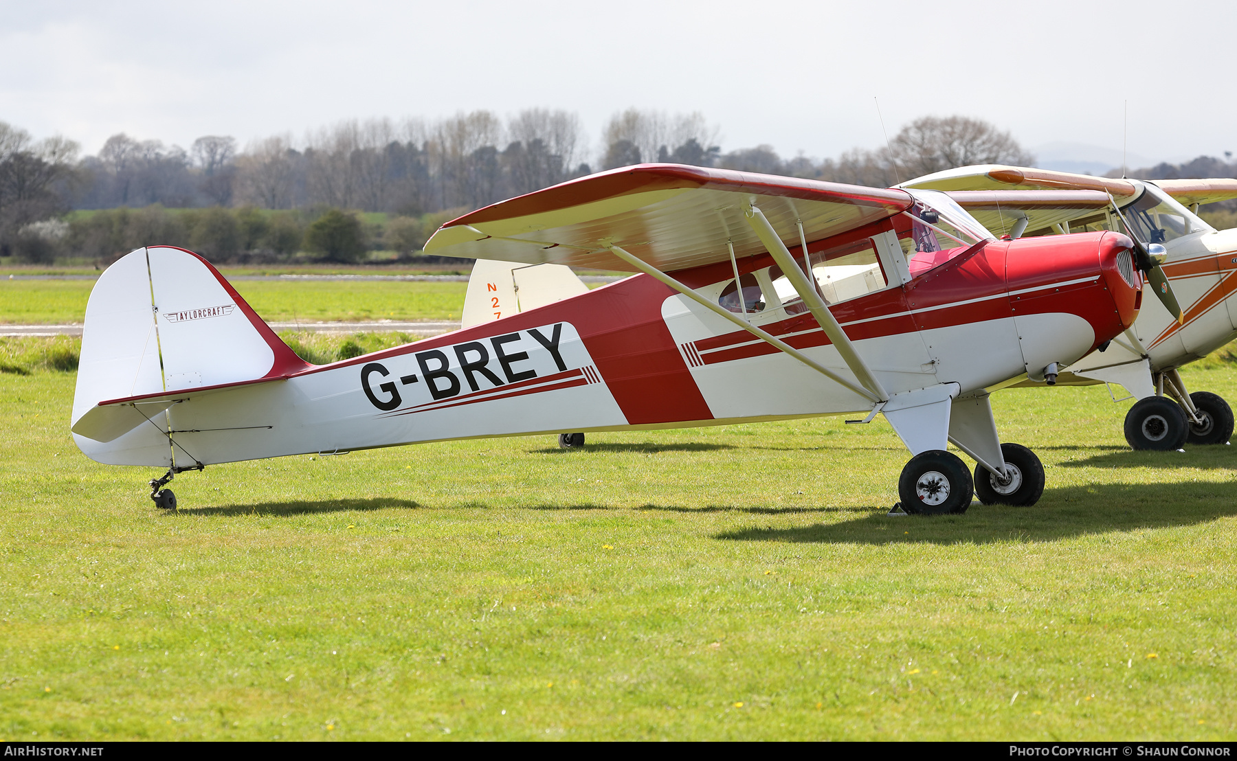 Aircraft Photo of G-BREY | Taylorcraft BC-12D Twosome | AirHistory.net #452949