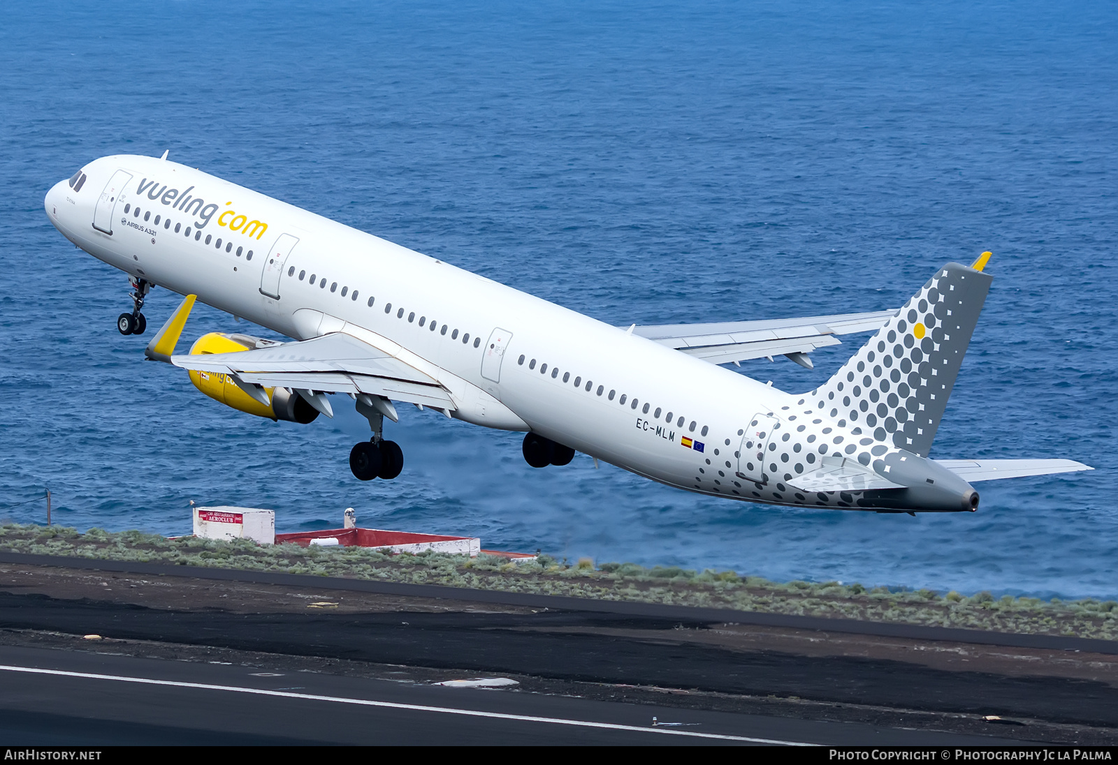 Aircraft Photo of EC-MLM | Airbus A321-231 | Vueling Airlines | AirHistory.net #454176