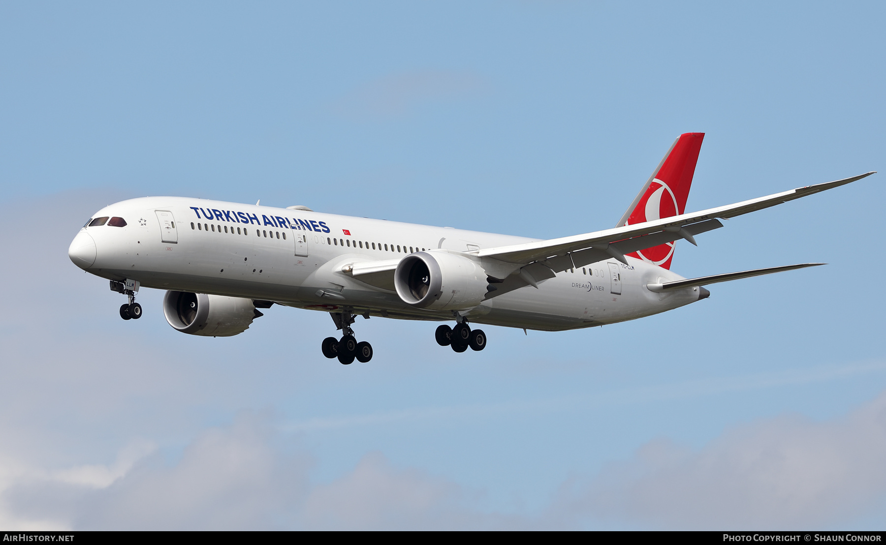 Aircraft Photo of TC-LLM | Boeing 787-9 Dreamliner | Turkish Airlines | AirHistory.net #454601