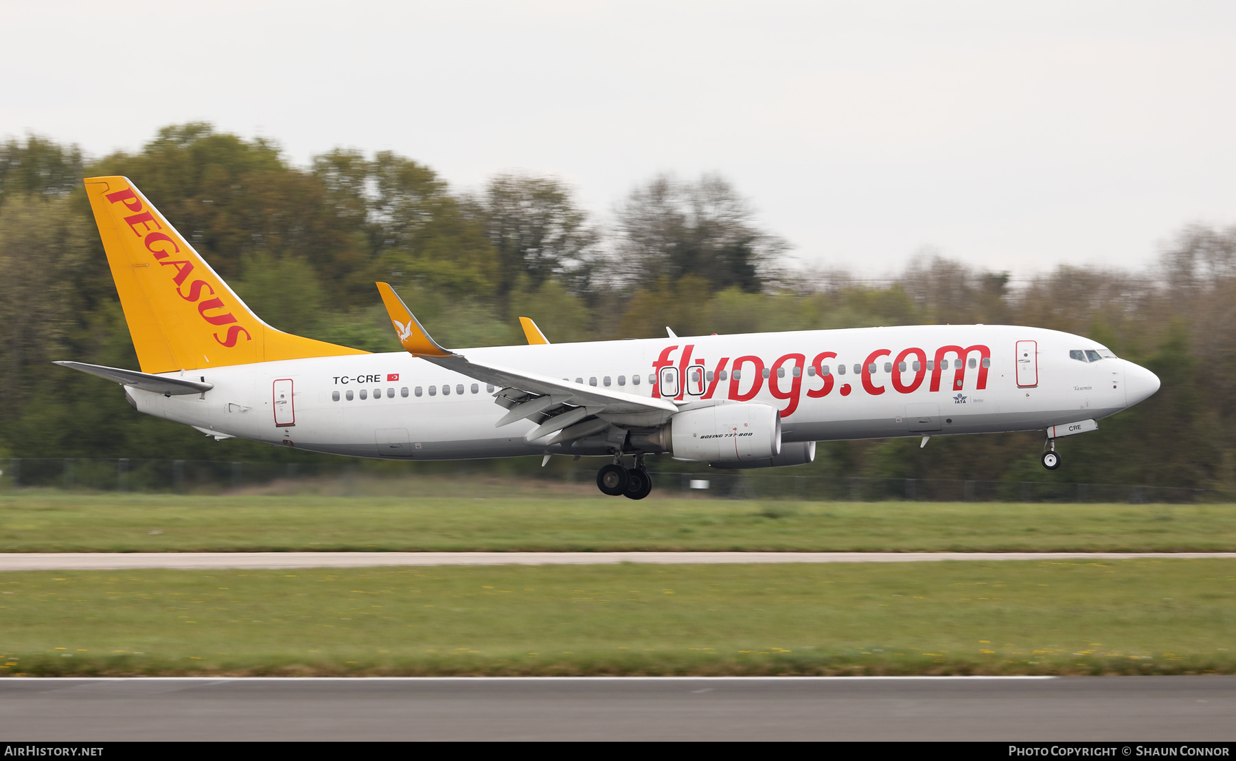 Aircraft Photo of TC-CRE | Boeing 737-800 | Pegasus Airlines | AirHistory.net #455830