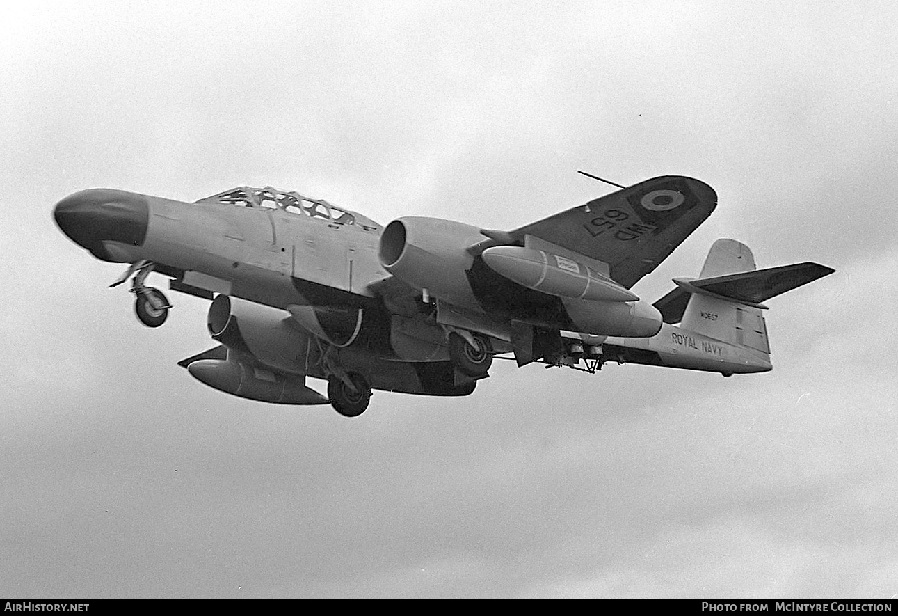 Aircraft Photo of WD657 | Gloster Meteor TT20 | UK - Navy | AirHistory.net #459180
