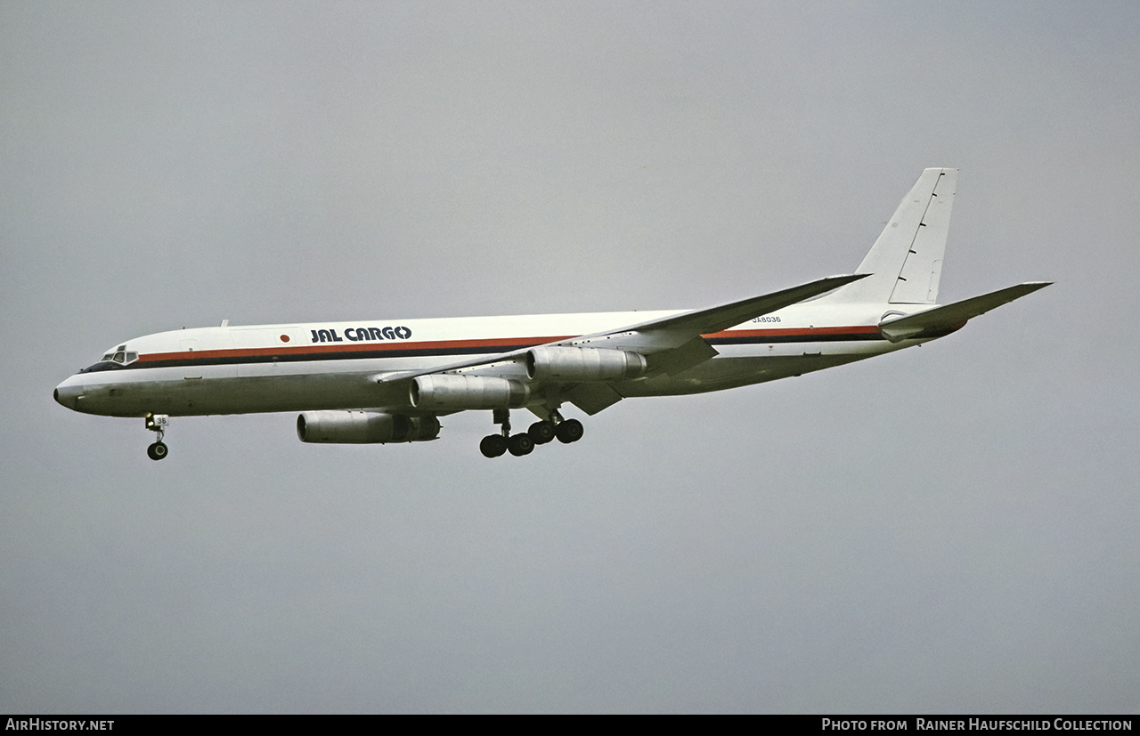 Aircraft Photo of JA8036 | McDonnell Douglas DC-8-62AF | Japan Air Lines - JA Cargo | AirHistory.net #460667