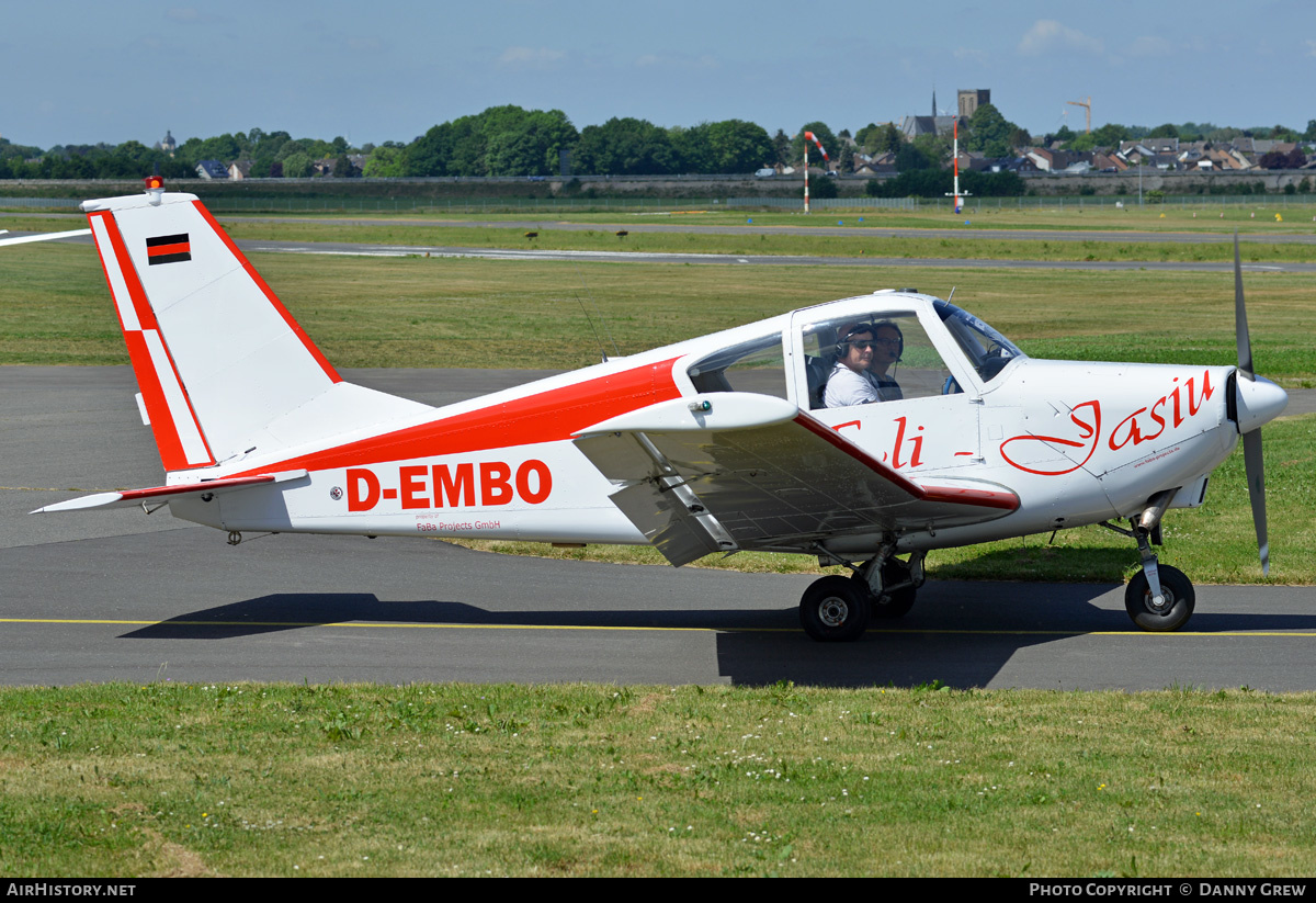 Aircraft Photo of D-EMBO | Gardan GY-80-180 Horizon | AirHistory.net #462103