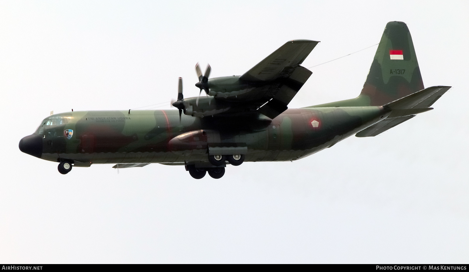 Aircraft Photo of A-1317 | Lockheed C-130H-30 Hercules (L-382) | Indonesia - Air Force | AirHistory.net #462342
