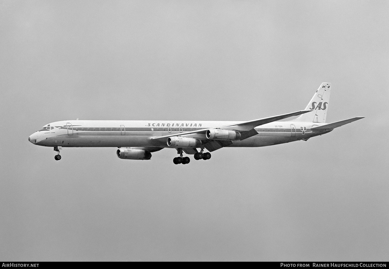 Aircraft Photo of SE-DBK | McDonnell Douglas DC-8-63 | Scandinavian Airlines - SAS | AirHistory.net #463336