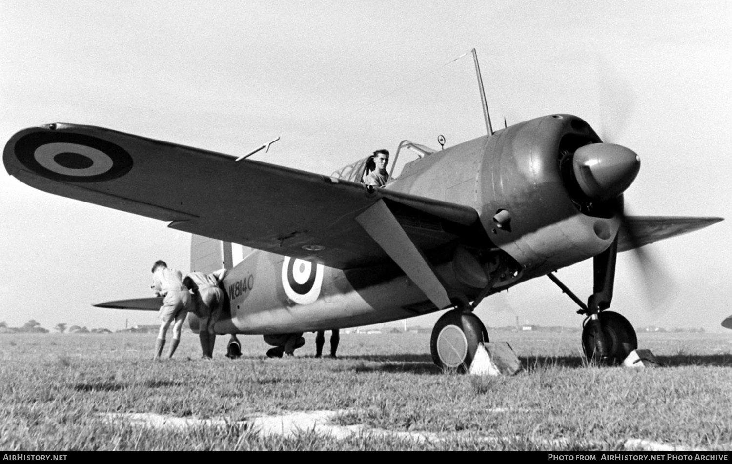 Aircraft Photo of W8140 | Brewster B-339E Buffalo Mk1 | UK - Air Force | AirHistory.net #463794
