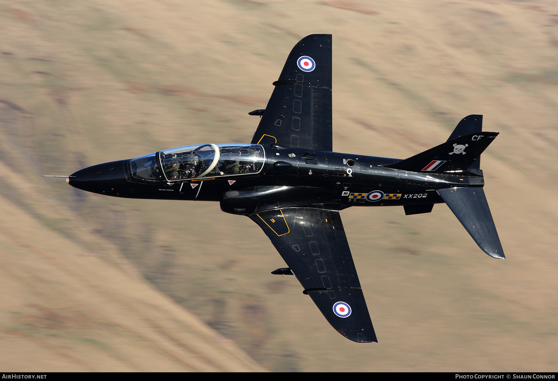 Aircraft Photo of XX202 | British Aerospace Hawk T1A | UK - Air Force | AirHistory.net #464890