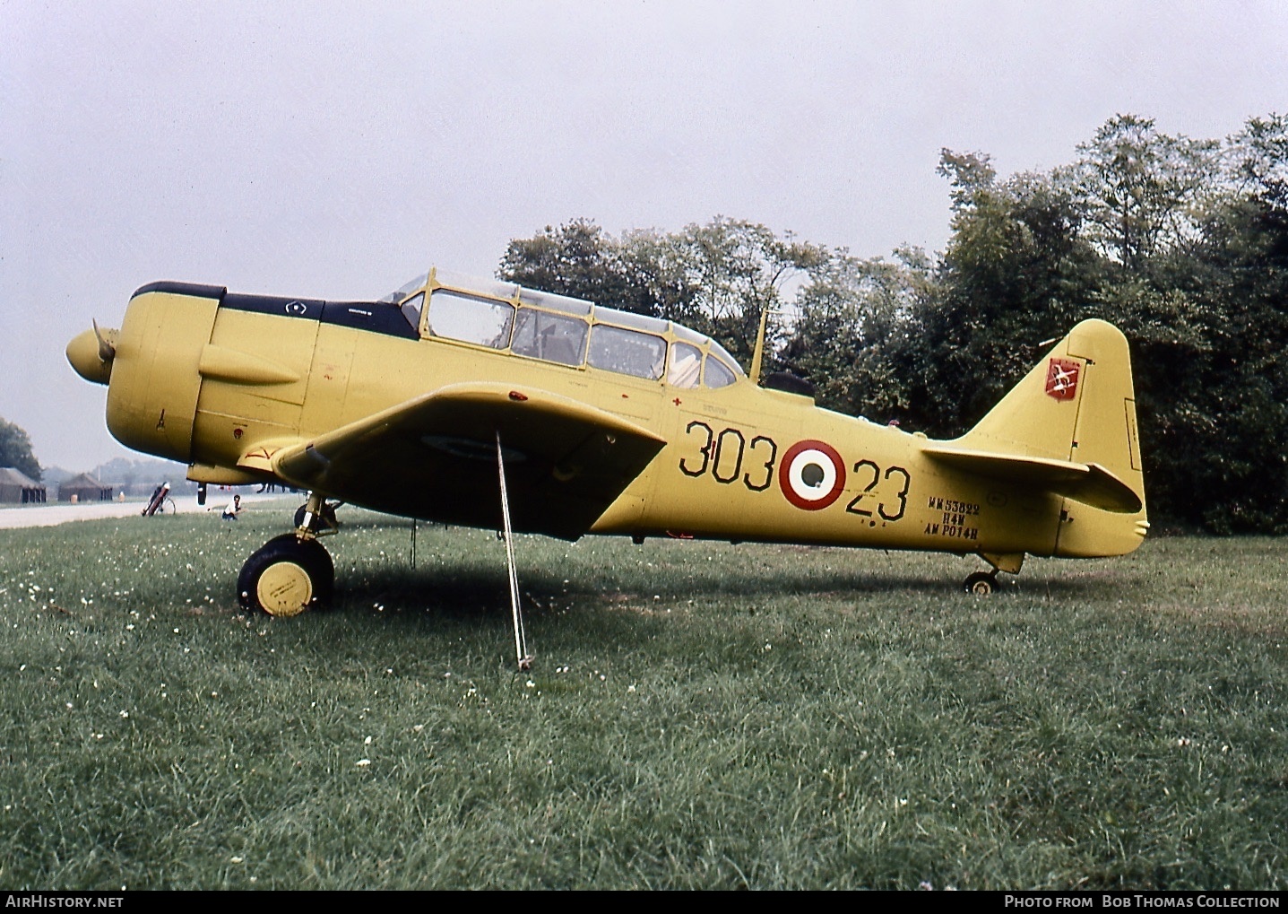 Aircraft Photo of MM53822 | North American T-6H Harvard Mk IV | Italy - Air Force | AirHistory.net #465431