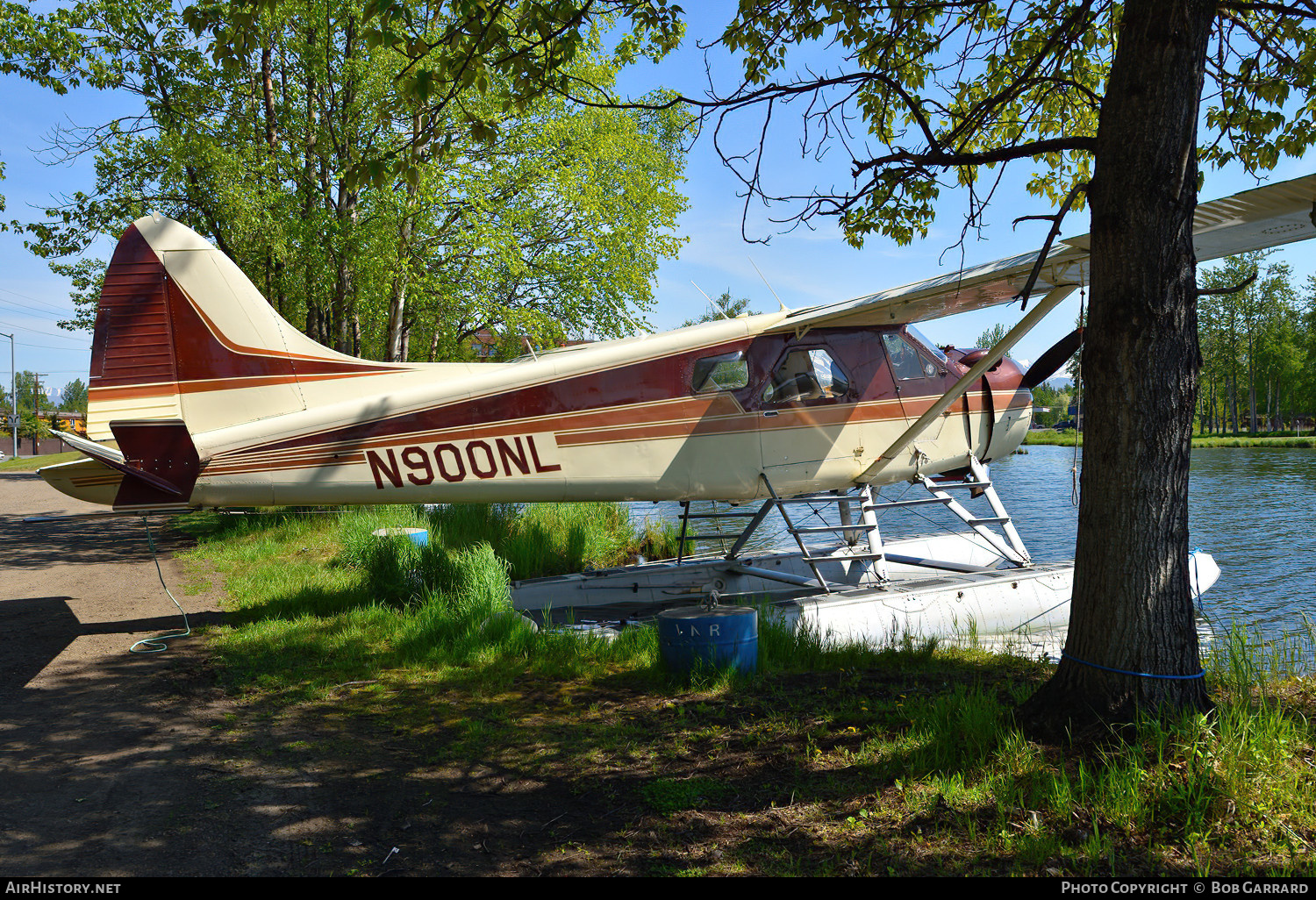 Aircraft Photo of N900NL | De Havilland Canada DHC-2 Beaver Mk.1 | AirHistory.net #466445