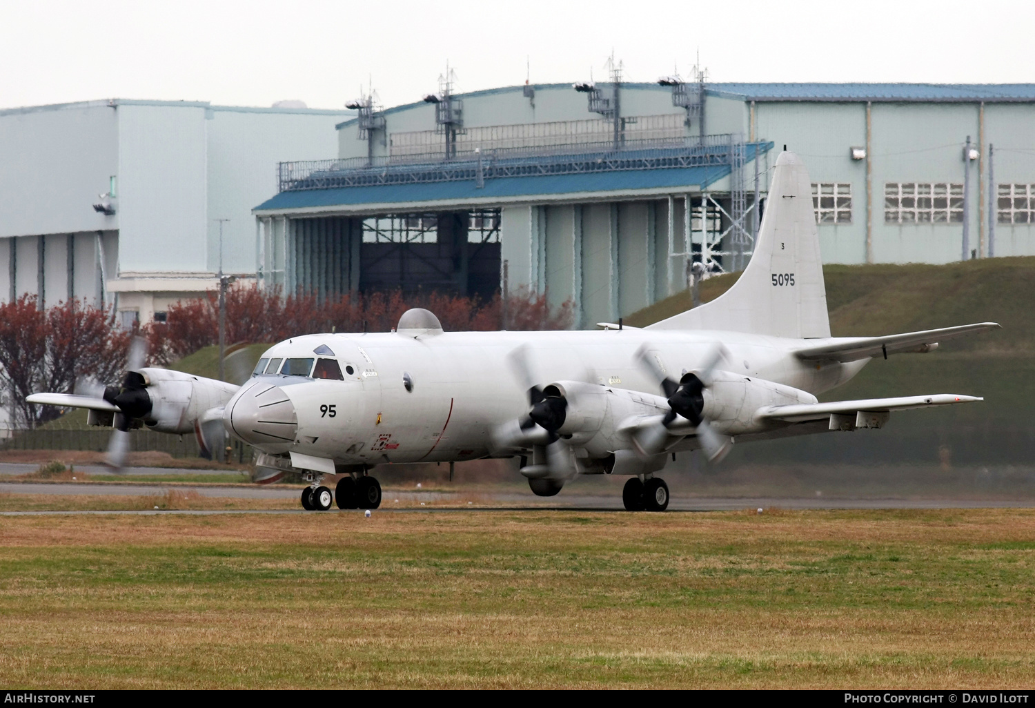 Aircraft Photo of 5095 | Lockheed P-3C Orion | Japan - Navy | AirHistory.net #468595
