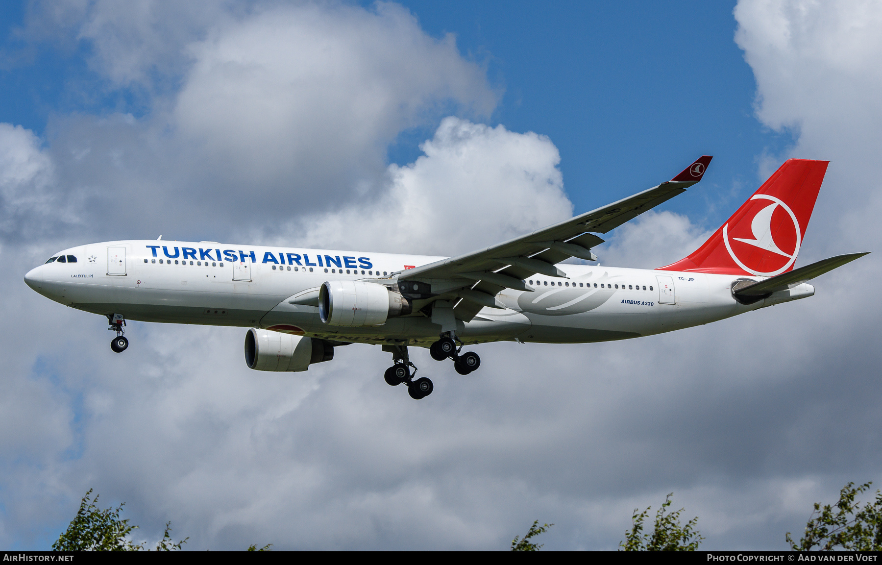 Aircraft Photo of TC-JIP | Airbus A330-223 | Turkish Airlines | AirHistory.net #469344