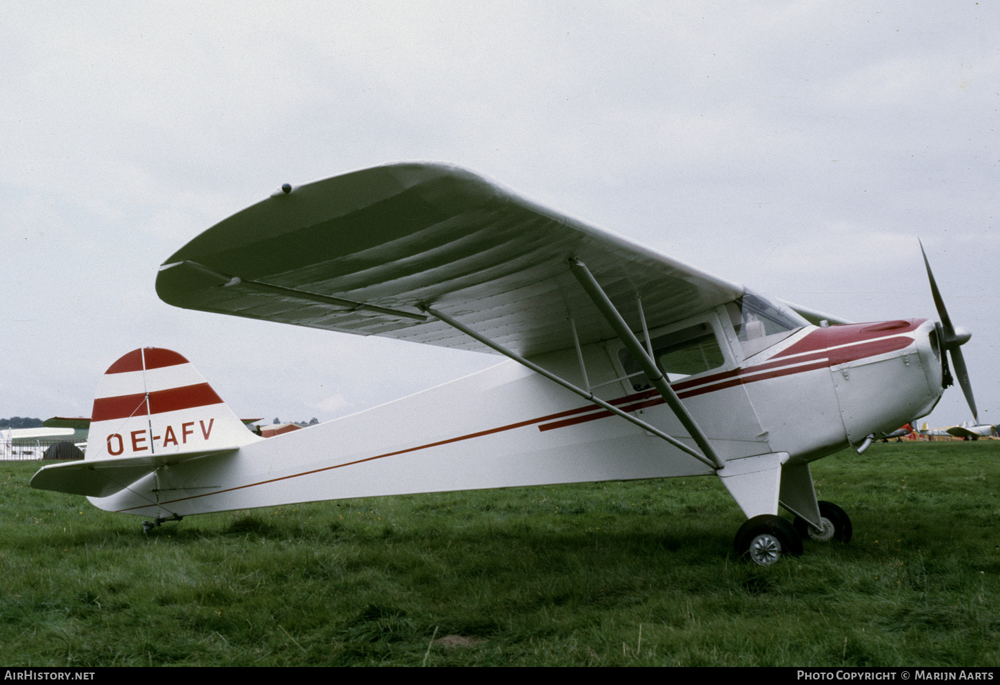 Aircraft Photo of OE-AFV | Taylorcraft BC-12D | AirHistory.net #469501