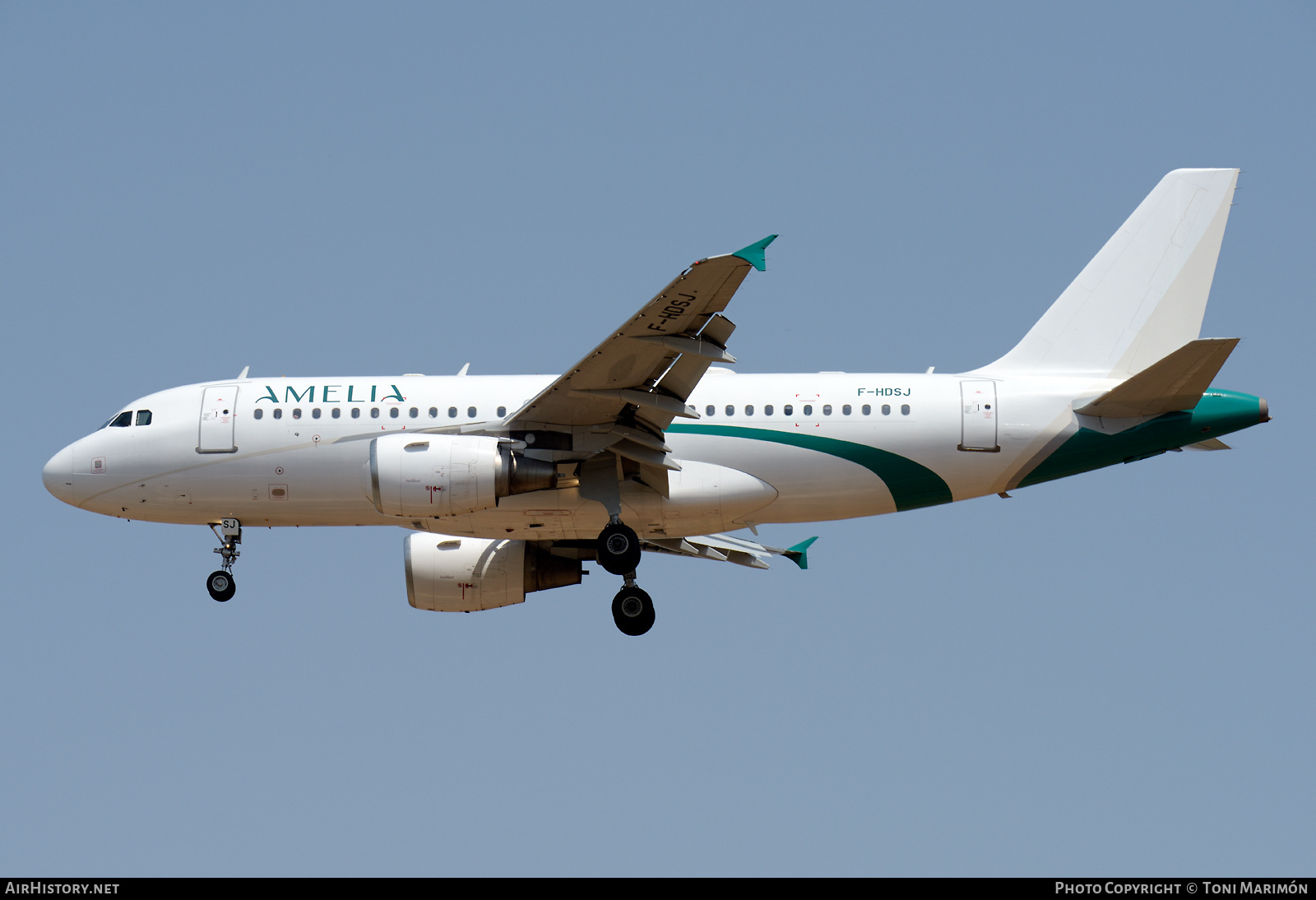 Aircraft Photo of F-HDSJ | Airbus A319-112 | Amelia | AirHistory.net #469629