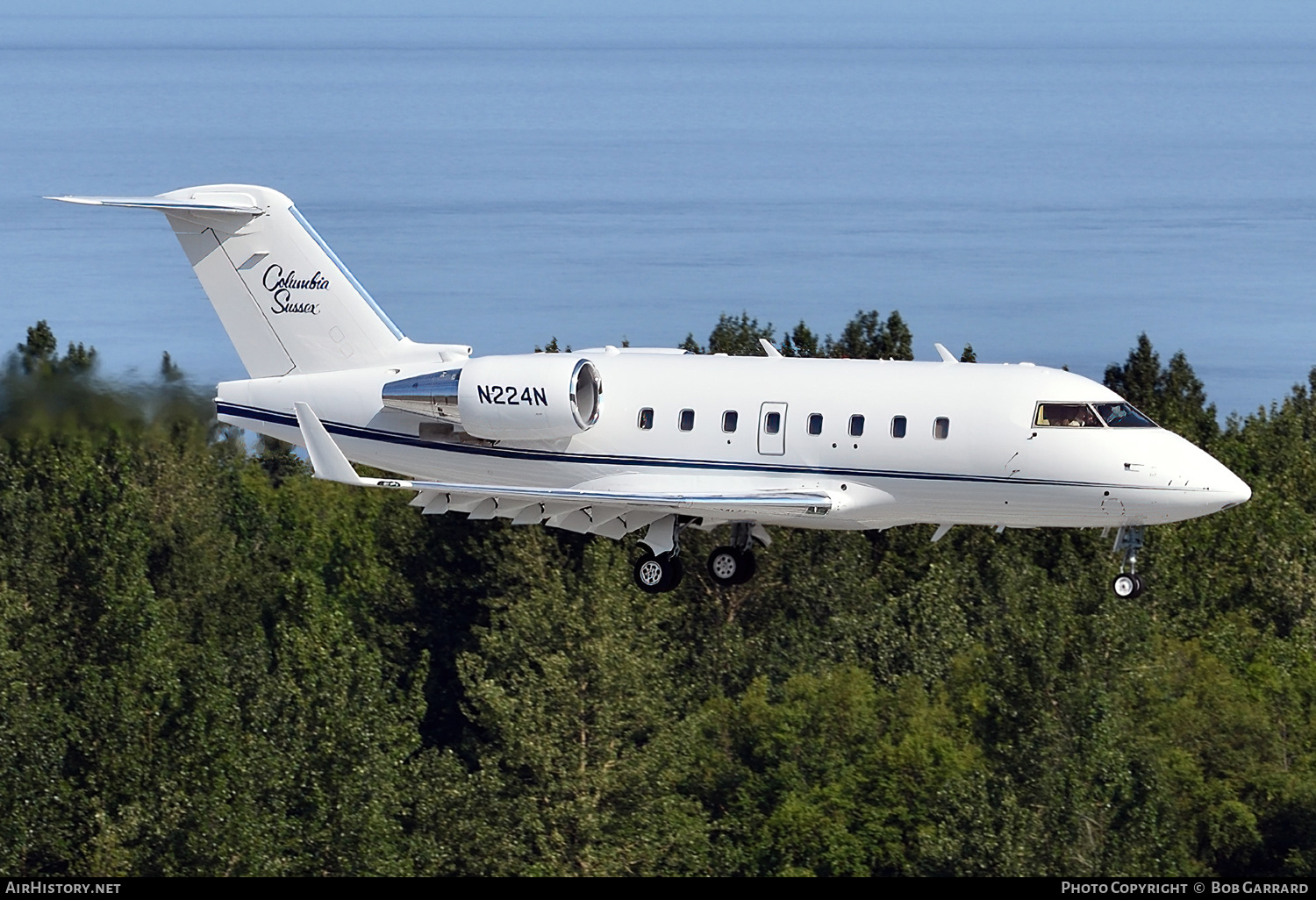 Aircraft Photo of N224N | Bombardier Challenger 604 (CL-600-2B16) | AirHistory.net #471053
