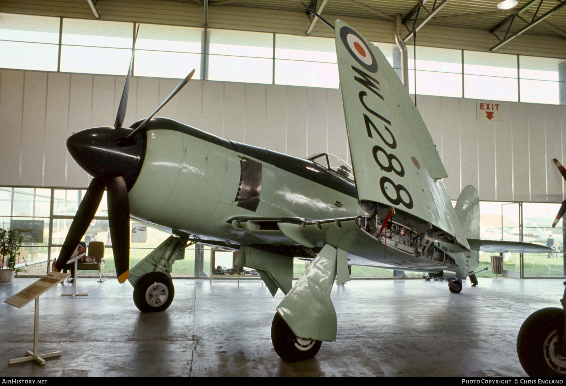 Aircraft Photo of WJ288 | Hawker Sea Fury FB11 | UK - Navy | AirHistory.net #471254