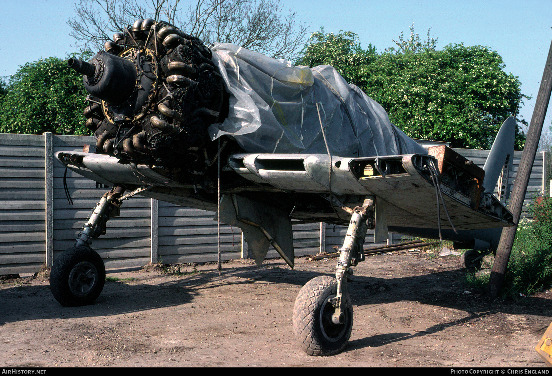 Aircraft Photo of WJ244 | Hawker Sea Fury FB11 | AirHistory.net #471518