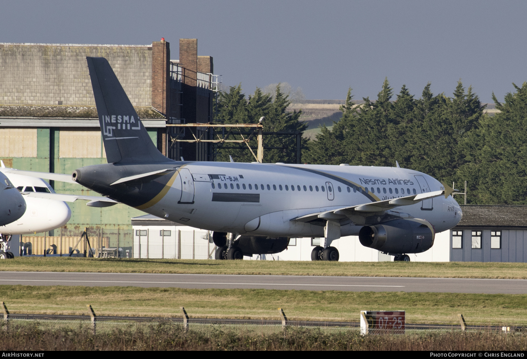 Aircraft Photo of LY-BJH | Airbus A319-132 | Nesma Airlines | AirHistory.net #472935