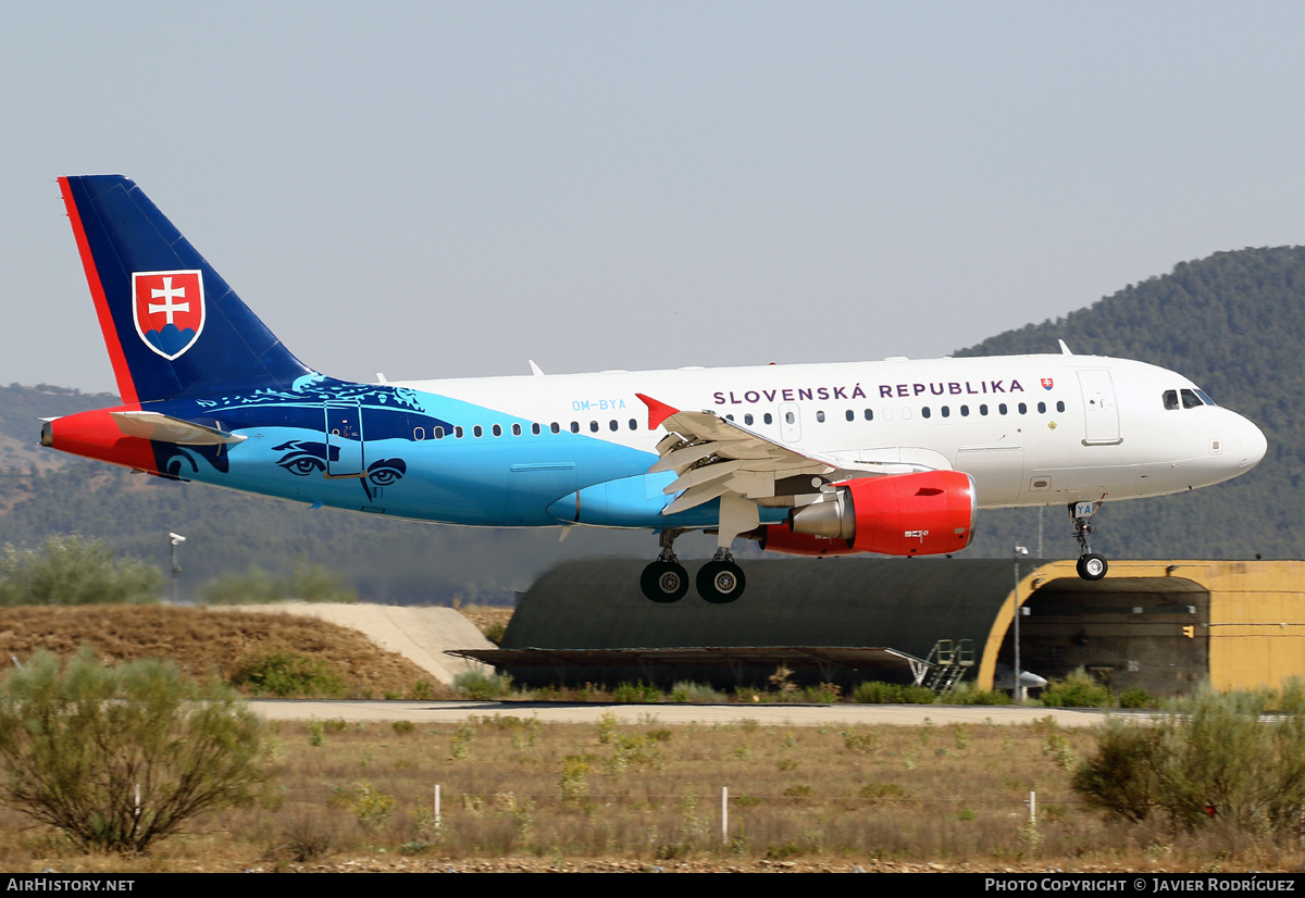 Aircraft Photo of OM-BYA | Airbus A319-115 | Slovakia - Government | AirHistory.net #473142