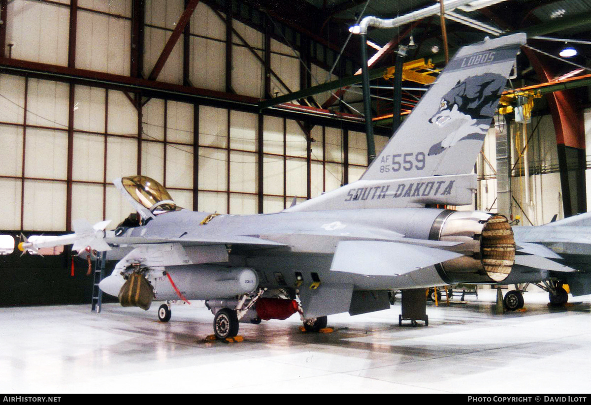 Aircraft Photo of 85-1559 / AF85-559 | General Dynamics F-16C Fighting Falcon | USA - Air Force | AirHistory.net #473213