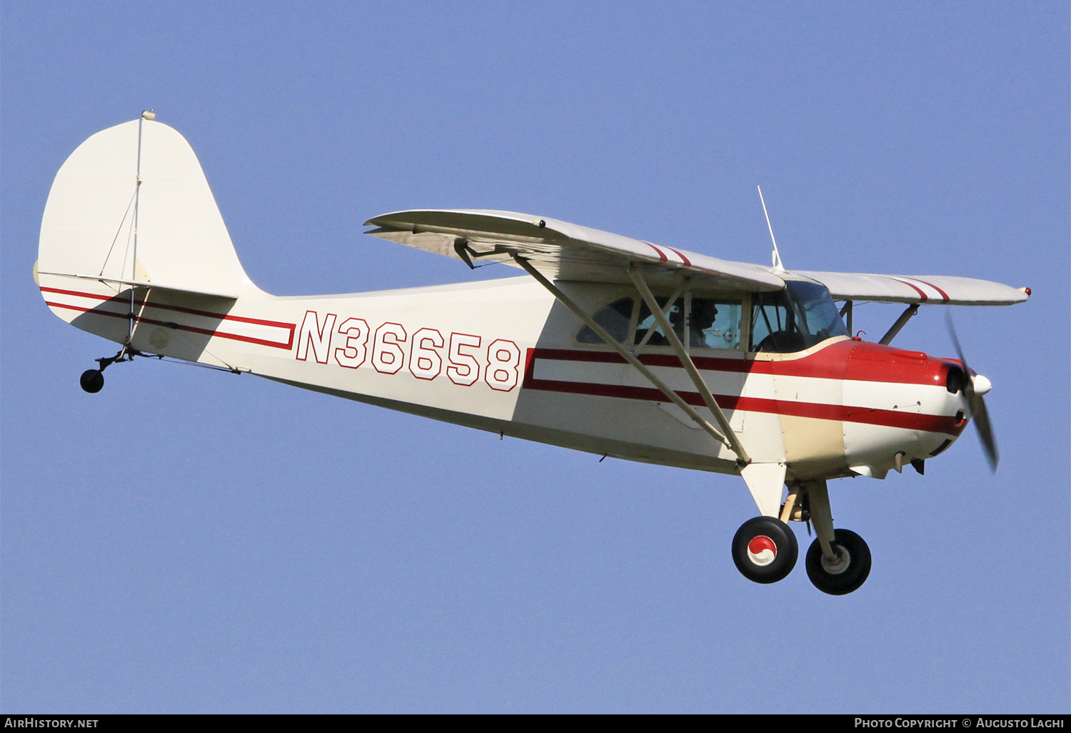 Aircraft Photo of N36658 | Aeronca 65CA Super Chief | AirHistory.net #474562
