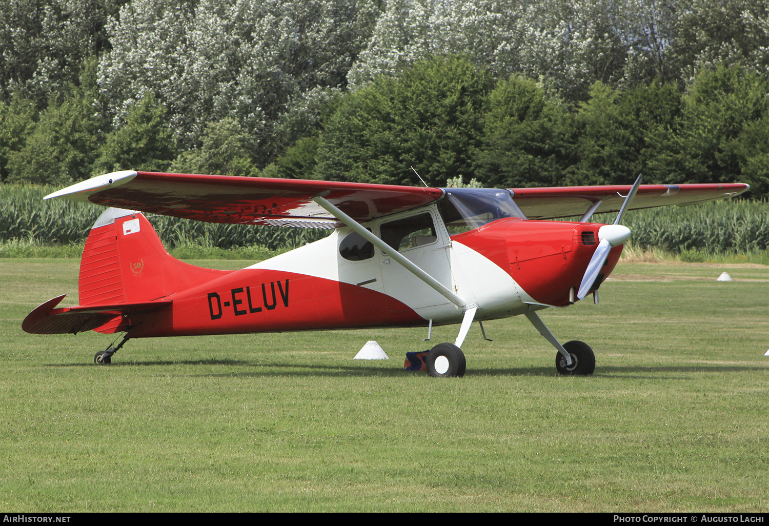 Aircraft Photo of D-ELUV | Cessna 170B | AirHistory.net #474622