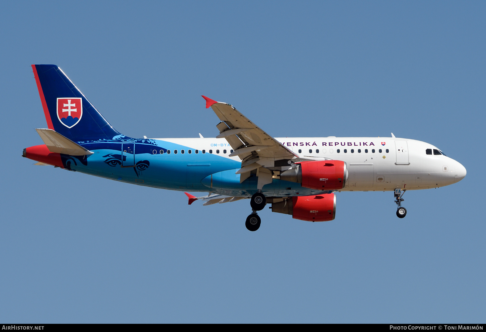 Aircraft Photo of OM-BYA | Airbus A319-115 | Slovakia - Government | AirHistory.net #474827