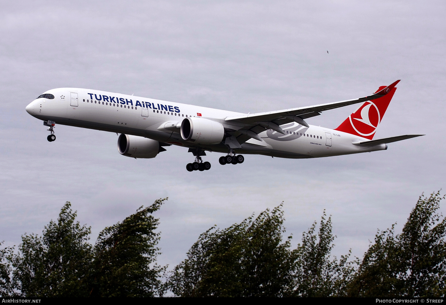 Aircraft Photo of TC-LGG | Airbus A350-941 | Turkish Airlines | AirHistory.net #476053