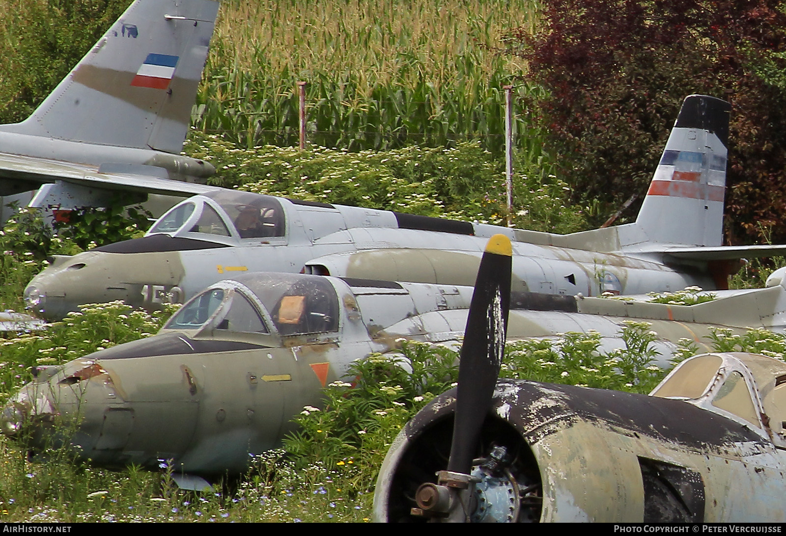 Aircraft Photo of 24159 | Soko J-21 Jastreb | Serbia and Montenegro - Air Force | AirHistory.net #476139