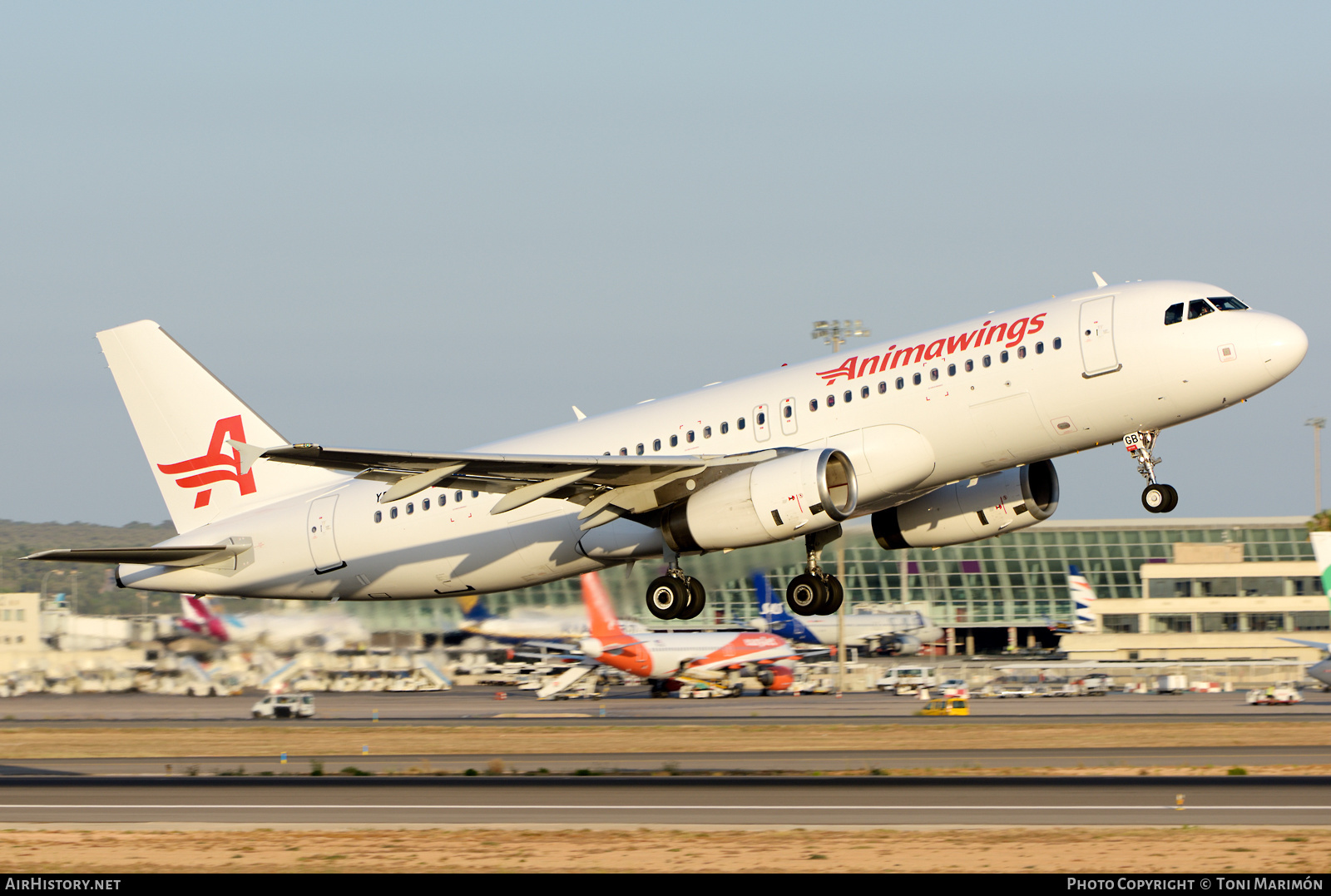 Aircraft Photo of YR-AGB | Airbus A320-232 | Animawings | AirHistory.net #477767