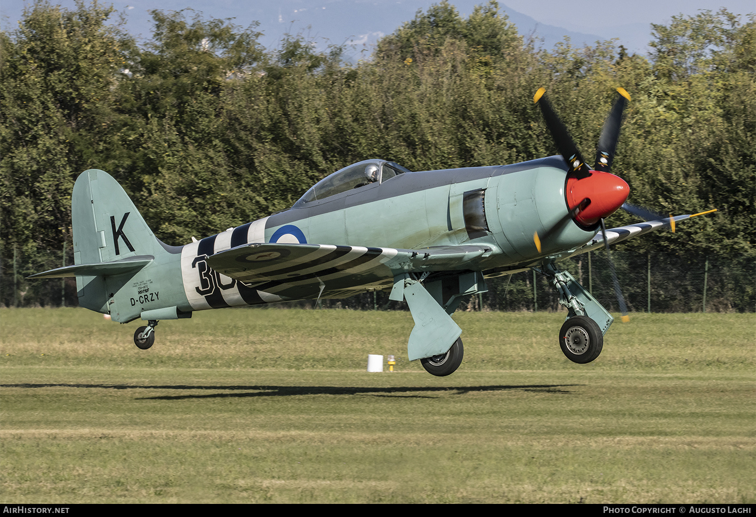 Aircraft Photo of D-CRZY | Hawker Fury FB11 | Australia - Navy | AirHistory.net #478391