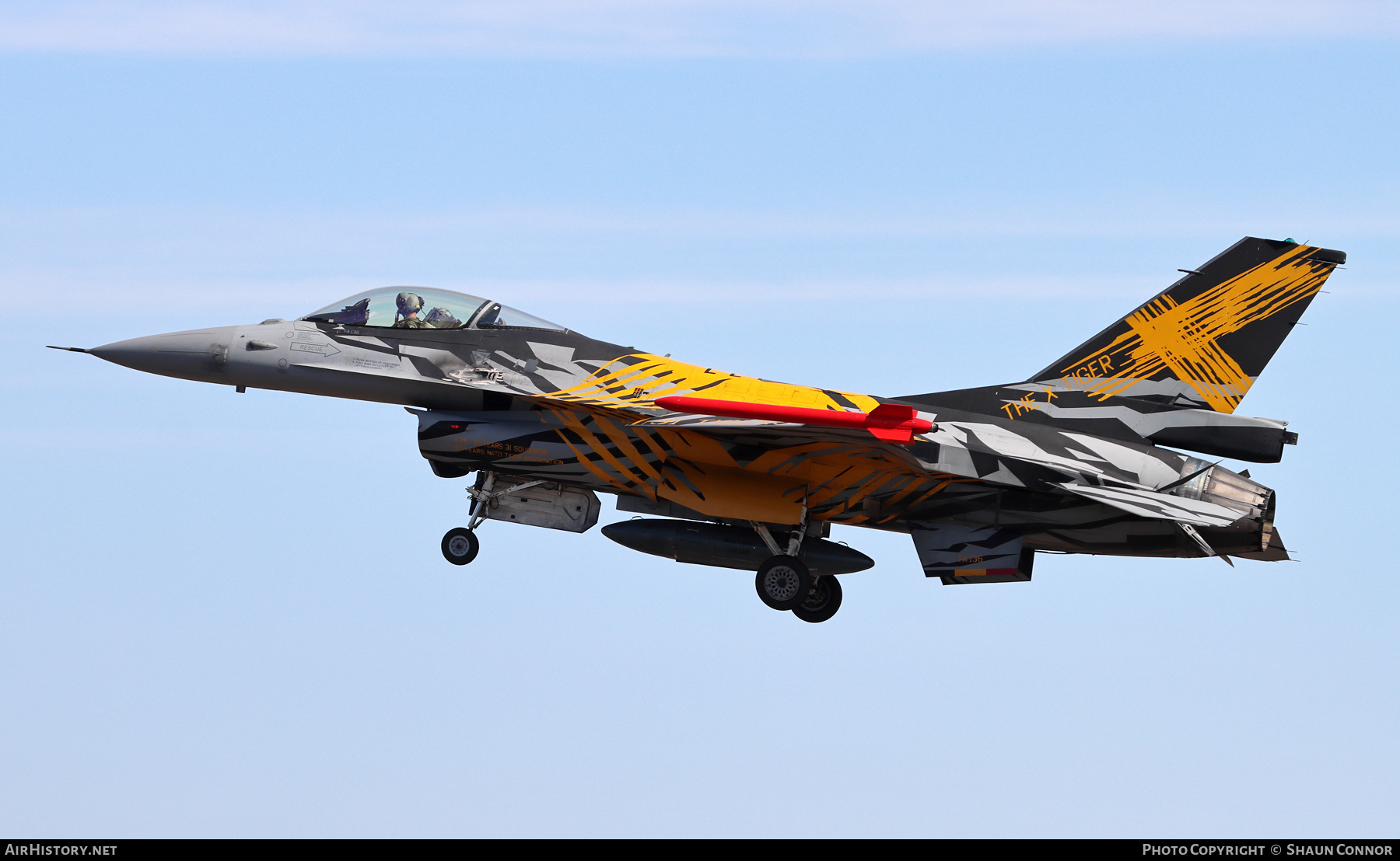 Aircraft Photo of FA-136 | General Dynamics F-16AM Fighting Falcon | Belgium - Air Force | AirHistory.net #478859