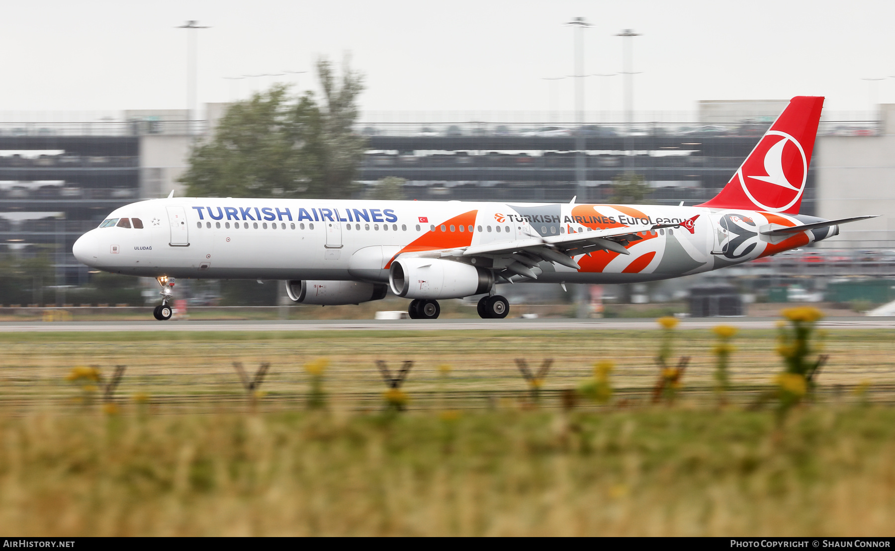 Aircraft Photo of TC-JRO | Airbus A321-231 | Turkish Airlines | AirHistory.net #480572