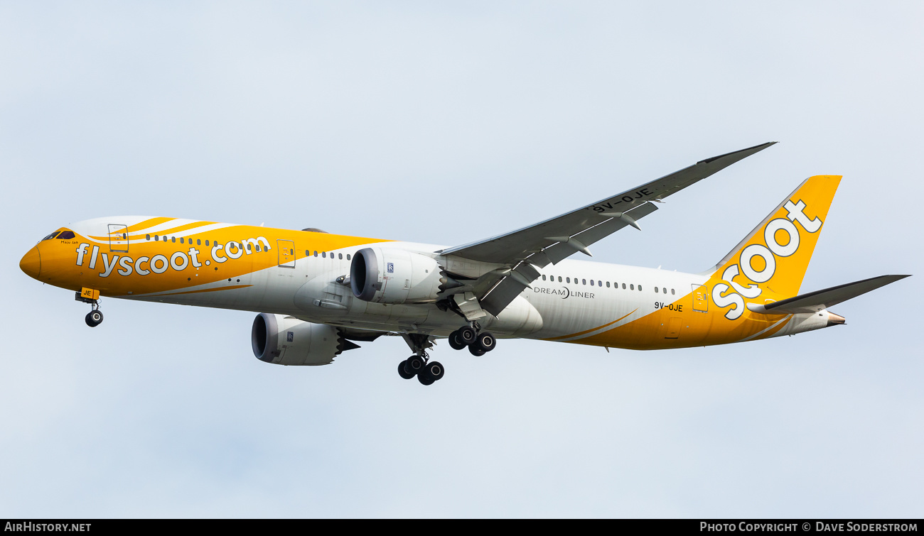 Aircraft Photo of 9V-OJE | Boeing 787-9 Dreamliner | Scoot | AirHistory.net #481567